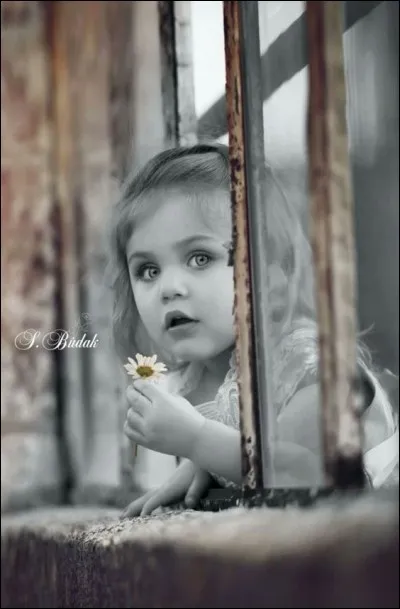 Qui entre en scène dans le livre "La fenêtre ouverte" de Georges Simenon ?