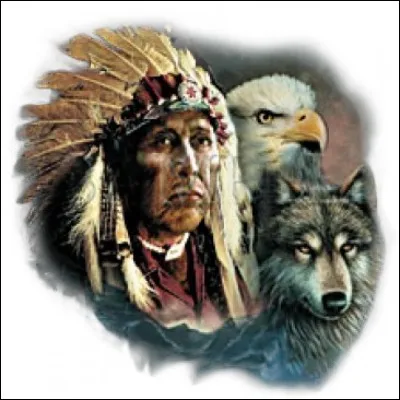 Quel animal préfères-tu entre ceux-là ?