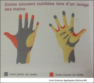 En vous aidant de l'image, quelles sont les affirmations correctes concernant le lavage des mains ?