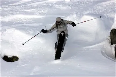 Que pratique ce skieur ?
