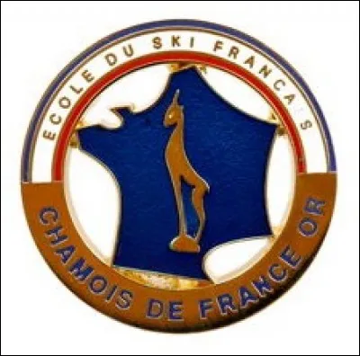 À tous les skieurs qui ont passé le test du "chamois", quelle est l'épreuve chronométrée ?