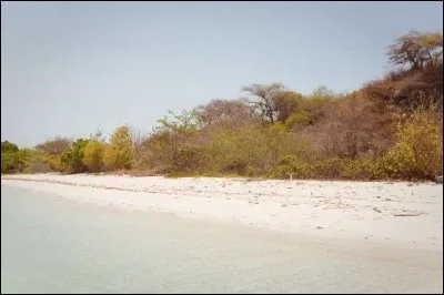 Dans quel pays se situe la plage isolée "White Sand Beach" ?