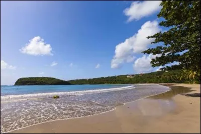 Dans quel pays se situe la plage isolée "La Sagesse" ?
