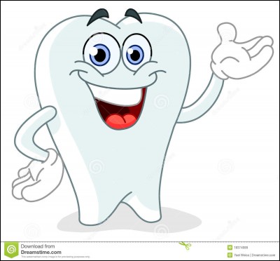 Lorsque toutes les dents définitives d'un adulte sont sorties, combien en a-t-il ?