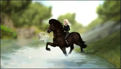 Quelle la race de chevaux est sur cette image ?