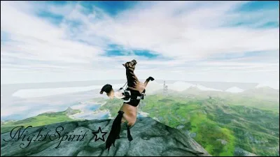 Quel soin donne-t-on à notre cheval sur SSO ?