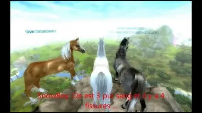 Quelle est cette race ?