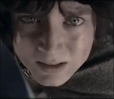 Question bonus pour les lecteurs de la Saga : 
Que sont devenus les parents de Frodon?