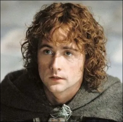 Quels sont les noms complets de Merry et Pippin?