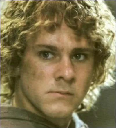 Merry et Pippin sont...