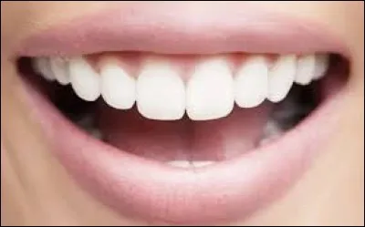 Quelle est ta principale qualit&eacute; ?