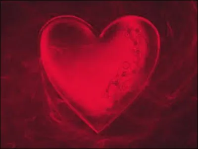 Qu'adorez-vous le plus parmi ces choix ?