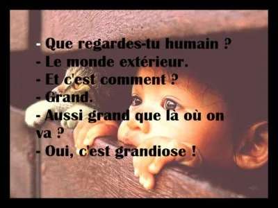 L'ouïe d'un chat est-elle plus ou moins fine que celle d'un humain ?