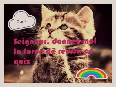 Par quelle caractéristique le manx se distingue-t-il des autres races ?