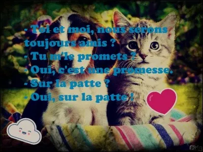 Entre le chat et le chien, lequel des deux est plus domestiqué que l'autre ?
