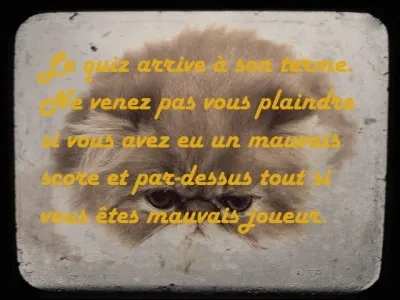 Combien un chat possède-t-il de vertèbres ?