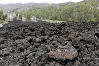 Quelle agriculture pratique-t-on sur les pentes de l'Etna ?