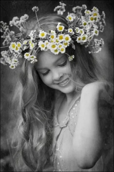 Qu'est-ce que "la belle de Louvain" ?
(Photo n'ayant aucun rapport si ce n'est d'être belle)