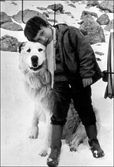 Qui a écrit "Belle et Sébastien" ?