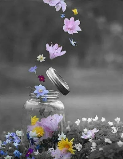 De qui est le parfum "La vie est belle" ?