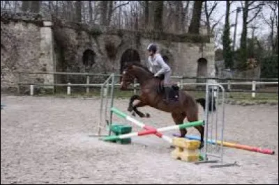 Quel est l'obstacle sur l'image ci-contre ?