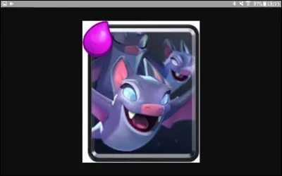 Quelle est cette carte ?