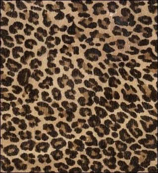 Quel est cet animal ?