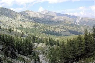 O habitent les Mariols ?