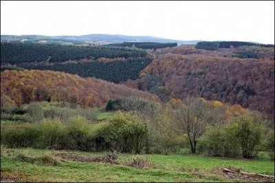 Qu'est-ce qu'un Arleuquin ?