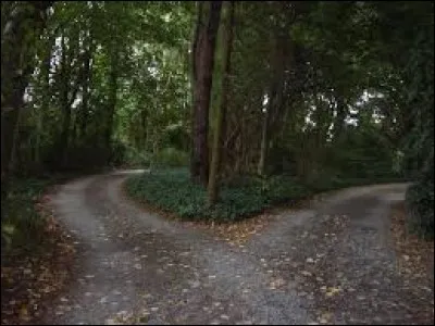 Pour toi, ces deux univers que sont la science-fiction et le fantastique vont-ils bien ensemble ?