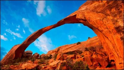 Lettre « U » Comme « USA » !
Dans de nombreux pays au monde, dans leur constitution, il a été défini une langue officielle (en France, la langue française), parfois plusieurs langues officielles (au Canada, les langues française et anglaise) furent décidées.
Aux USA, au niveau fédéral, quelle(s) est (sont) la (ou les) langue(s) officielle(s) ?