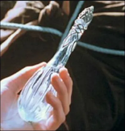 Comment s'appelle l'Etoile bien-aimée que mentionne la Sorcière Elfe?