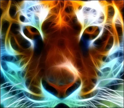 Quel fond te convient le mieux ?