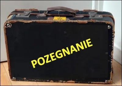 Que signifie le mot polonais "pozegnanie" en français ?