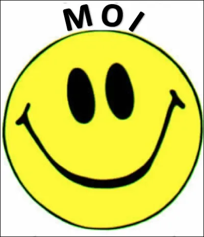 Que signifie le mot finnois "moi" en français ?