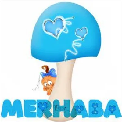 Que signifie le mot turc "merhaba" en français ?