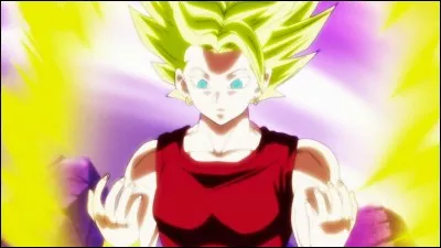 Qui est la forme alternative de Goku de l'univers 6 ?