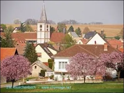 Gougenheim est un village Bas-Rhinois situé en région ...