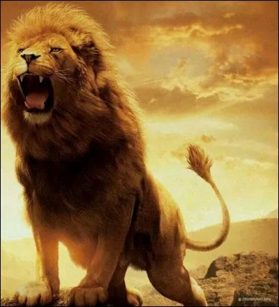 Quel est le cri de cet animal ?