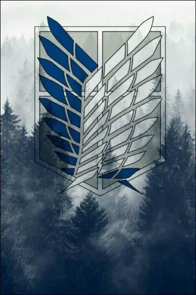 À quel anime appartient ce symbole ?