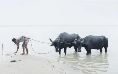 Nom d'un fleuve du Bangladesh.