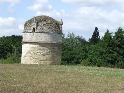 Quand ce mot que l'on pourrait prendre pour un participe passé au féminin désigne un colombier, lieu de refuge.