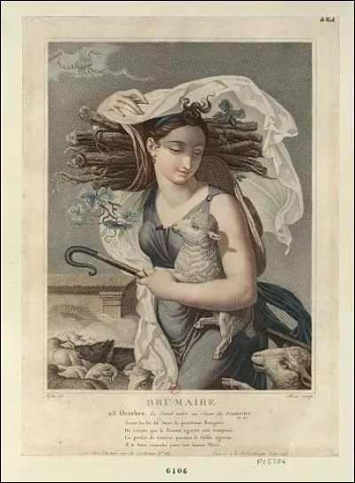 Face à la pléthore d'animaux domestiques de l'Ancien Monde (plus d'une vingtaine), l'Amérique n'a « que » le lama, l'alpaga, le canard de Barbarie, le cochon d'Inde... ainsi qu'un volatile qui ne va pas tarder à passer à la casserole : lequel ? (Complétez !)