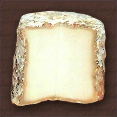 Quelle langue est à l'origine du nom "chabichou" ?