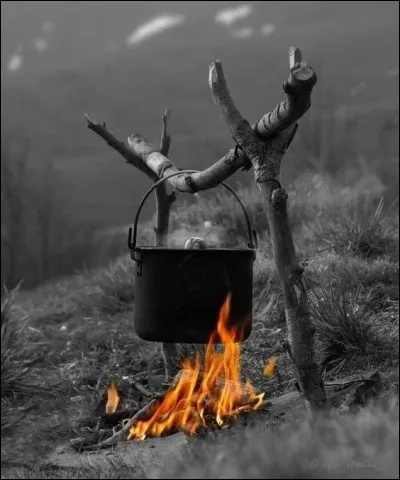 Qui chantait "Mon ciel est le sien : Gitan, je suis comme lui : Gitan, je n'ai plus de nom : Gitan" ?