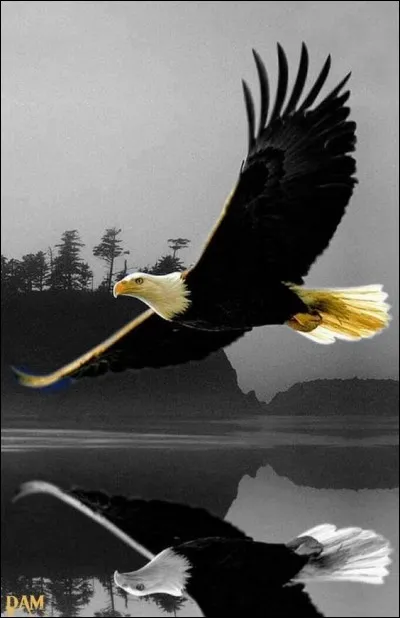 De qui sont les paroles "Quand soudain, semblant crever le ciel...."