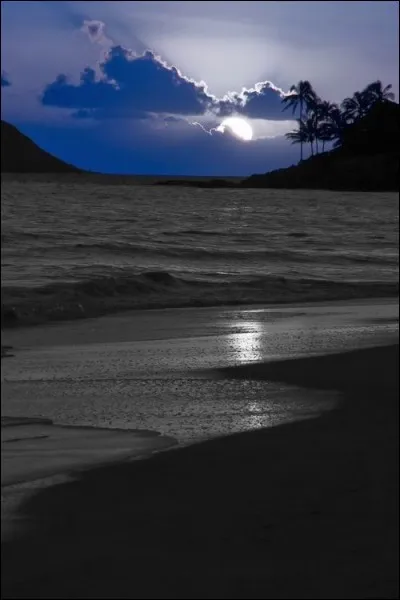 De qui est la chanson "Je regarde le ciel, et c'est ça l'essentiel" ?