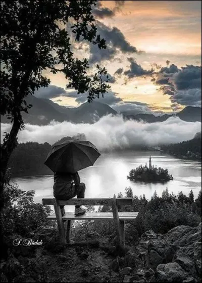 De qui sont les paroles "J'ai des fleurs au bout des doigts, et le ciel que je te dois est un ciel sans étoiles, quand je t'aime..." ?