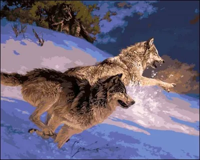 Trouvez le verbe bien conjugué dans la phrase suivante : "Le spectacle de la mer l'émerveillait bien qu'il (voir) déjà mille fois.