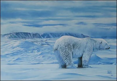 Quelle est la phrase où le participe passé est bien accordé.